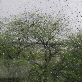 весенний дождь